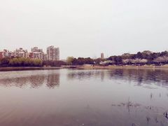 -新江湾城公园