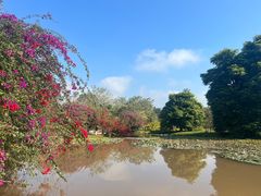-中国科学院西双版纳热带植物园