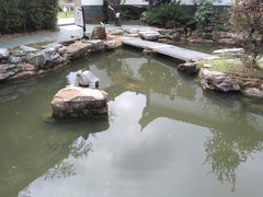 -木兰水镇旅游景区