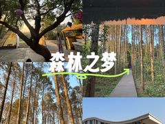 -同里国家湿地公园