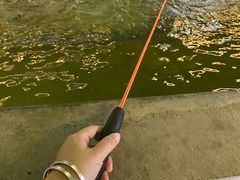 -会江钓鱼钓虾烧烤场