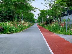 -上海长兴岛郊野公园