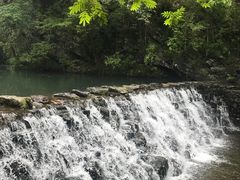-石台牯牛降景区