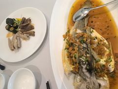 -张生记(丁香国际店)