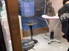 -FAELING PETS美天灵宠物(富力广场店)