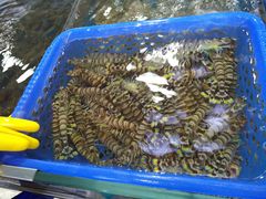 -清水湾3号(东方小周海鲜店)