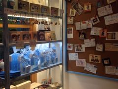 -猫的天空之城概念书店(印象城购物中心店)