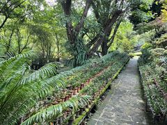 -南山植物园