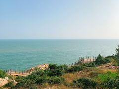-广东惠东海龟国家级自然保护区