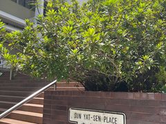 -香港大学