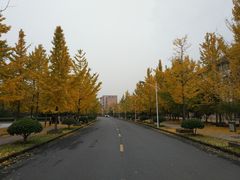-浙江农林大学(东湖校区)