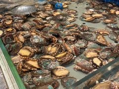 -一方渔歌蒸汽海鲜自助(文化路万达广场店)