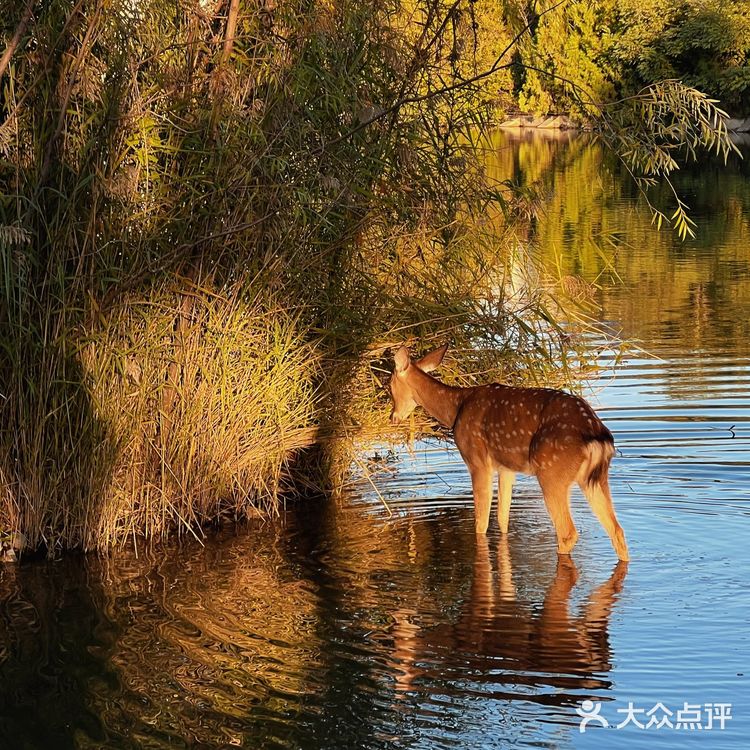 闹市中的仙境 零距离动物世界