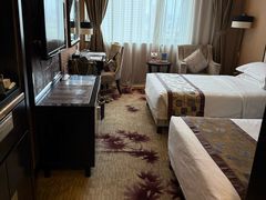 -长沙小天鹅戴斯酒店