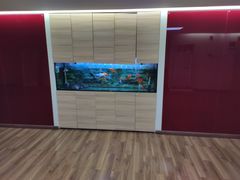 -九华体检中心(今晚报分店)