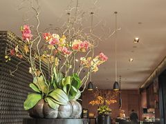 -当米亚诺意大利餐厅(武汉光谷凯悦酒店)