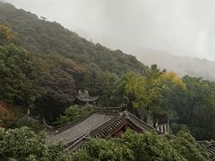 -韬光茶庵
