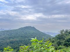-九曜山