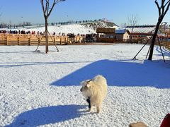 -绿野森林乐园冰雪季