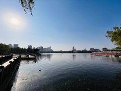 -莲花池公园