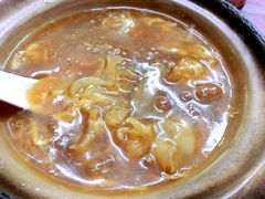 招牌花胶海参煲仔翅-添發碗仔翅美食