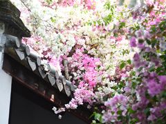 -深圳国际园林花卉博览园