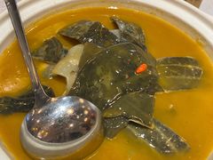 红煨甲鱼-喜湘宴·精致湖南菜(和平西桥店)