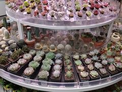-KKV(深圳kk one 店)