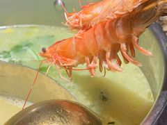 -禄婶鸡煲·打边炉
