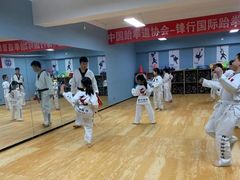 -嗨动跆拳道体能馆(菜百店)