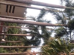 -华南国家植物园-售票处