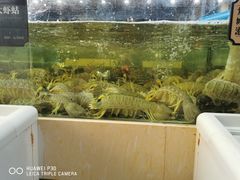 -欧记·龙城港(欣都店)