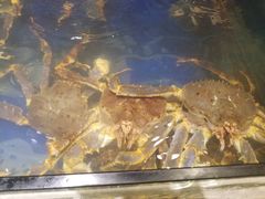 -海景壹号大酒店(滨湖店)