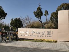 -羊山湖公园