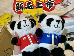-宽窄巷子(地铁站)