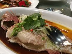 清蒸深海油斑鱼-太子园林酒家