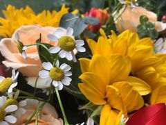 -槿妍花舍花艺生活馆(世纪港湾店)