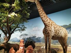 -陕西自然博物馆