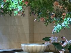 -麓湖国际水疗