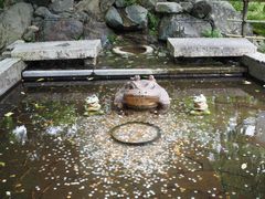 -天龙寺
