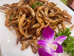 -台山第一家兴华黄鳝饭·黄鳝婆(开平店)