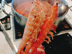 -蚝大仙横琴生蚝火锅(日月贝店)