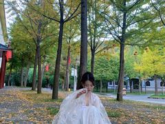 -洛阳白云山景区