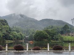 -广州市帽峰山景区