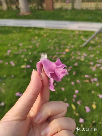 蓝天白云   看着就心旷神怡