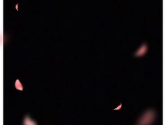 -星巴克(浙江省人民医院店)