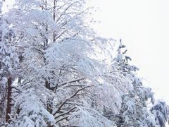 -四明山国家森林公园