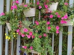 -昆山城市生态森林公园