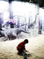 -恐龙探索乐园(磁器口店)