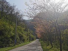-西安祥峪森林公园